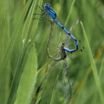 NIKON D750 2023-06-12 13:10:03 f/14 1/125sec ISO-640 105mm