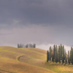 NIKON D750 2022-10-10 07:54:31 f/7.1 1/100sec ISO-100 66mm