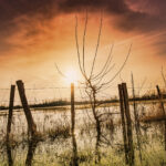 Alain Buchet NIKON D800 2018-12-26 10:12:16 Alain Buchet f/8 1/320sec ISO-100 20mm Alain Buchet NIKON D800 2018-12-26 10:12:16 Alain Buchet f/8 1/320sec ISO-100 20mm