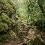 ALAIN BUCHET NIKON D800E 2024-07-06 11:02:36 ALAIN BUCHET 2021 f/16 2sec ISO-100 20mm