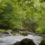 NIKON D7100 2024-07-06 09:46:07 f/22 1sec ISO-100 48mm NIKON D7100 2024-07-06 09:46:07 f/22 1sec ISO-100 48mm