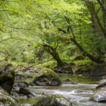 NIKON D7100 2024-07-06 09:55:03 f/22 1.3sec ISO-100 75mm NIKON D7100 2024-07-06 09:55:03 f/22 1.3sec ISO-100 75mm