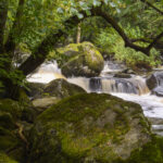 NIKON D7100 2024-07-06 10:36:07 f/22 1/3sec ISO-100 42mm NIKON D7100 2024-07-06 10:36:07 f/22 1/3sec ISO-100 42mm