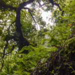 NIKON D7100 2024-07-06 11:18:41 f/22 1/3sec ISO-100 38mm NIKON D7100 2024-07-06 11:18:41 f/22 1/3sec ISO-100 38mm