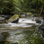 NIKON D7100 2024-07-06 11:32:32 f/22 1/2sec ISO-100 24mm NIKON D7100 2024-07-06 11:32:32 f/22 1/2sec ISO-100 24mm