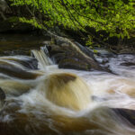 NIKON D7100 2024-07-06 14:19:34 f/22 1/2sec ISO-100 30mm NIKON D7100 2024-07-06 14:19:34 f/22 1/2sec ISO-100 30mm