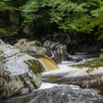 NIKON D7100 2024-07-06 14:30:17 f/22 1.6sec ISO-100 58mm NIKON D7100 2024-07-06 14:30:17 f/22 1.6sec ISO-100 58mm