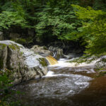 NIKON D7100 2024-07-06 14:30:54 f/22 1.3sec ISO-100 34mm NIKON D7100 2024-07-06 14:30:54 f/22 1.3sec ISO-100 34mm