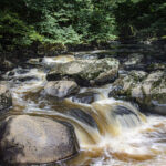 NIKON D7100 2024-07-06 15:12:50 f/22 1/4sec ISO-100 22mm NIKON D7100 2024-07-06 15:12:50 f/22 1/4sec ISO-100 22mm