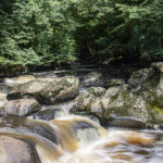 NIKON D7100 2024-07-06 15:15:27 f/22 1/3sec ISO-100 22mm NIKON D7100 2024-07-06 15:15:27 f/22 1/3sec ISO-100 22mm