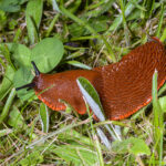 ALAIN BUCHET NIKON D800E 2024-05-13 17:52:22 ALAIN BUCHET 2021 f/32 1/125sec ISO-100 105mm ALAIN BUCHET NIKON D800E 2024-05-13 17:52:22 ALAIN BUCHET 2021 f/32 1/125sec ISO-100 105mm