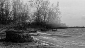 X100V 2024-03-28 16:23:28 f/16 1/2sec ISO-200 23mm X100V 2024-03-28 16:23:28 f/16 1/2sec ISO-200 23mm