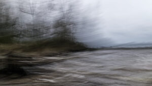 X100V 2024-03-28 16:23:48 f/16 1/2sec ISO-200 23mm X100V 2024-03-28 16:23:48 f/16 1/2sec ISO-200 23mm