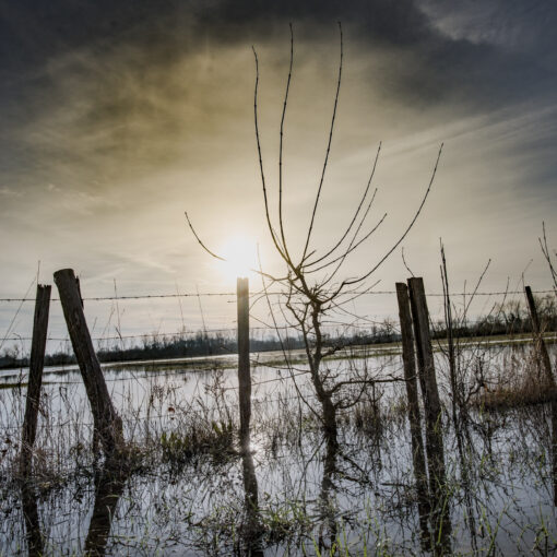 Alain Buchet NIKON D800 2018-12-26 10:12:16 Alain Buchet f/8 1/320sec ISO-100 20mm Alain Buchet NIKON D800 2018-12-26 10:12:16 Alain Buchet f/8 1/320sec ISO-100 20mm