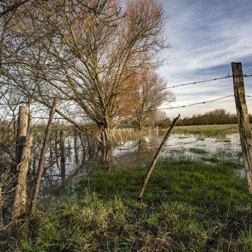 Alain Buchet NIKON D800 2018-12-26 10:41:22 Alain Buchet f/6.3 1/200sec ISO-100 20mm Alain Buchet NIKON D800 2018-12-26 10:41:22 Alain Buchet f/6.3 1/200sec ISO-100 20mm