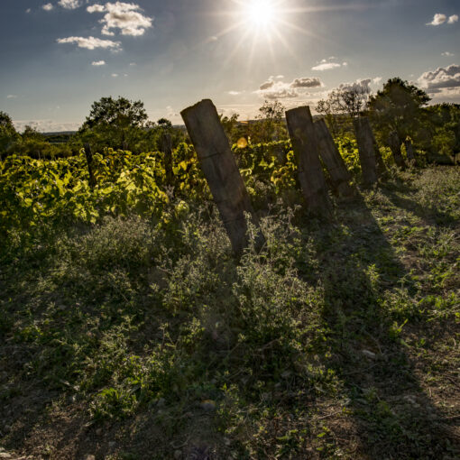 ALAIN BUCHET NIKON D800 2017-08-08 18:51:14 BC-2017 f/16 1/125sec ISO-100 20mm ALAIN BUCHET NIKON D800 2017-08-08 18:51:14 BC-2017 f/16 1/125sec ISO-100 20mm