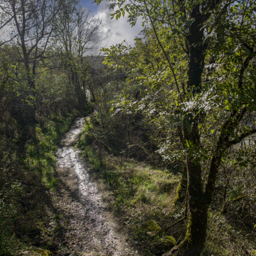 ALAIN BUCHET NIKON D800E 2023-11-06 11:27:57 ALAIN BUCHET 2021 f/4.5 1/80sec ISO-50 20mm ALAIN BUCHET NIKON D800E 2023-11-06 11:27:57 ALAIN BUCHET 2021 f/4.5 1/80sec ISO-50 20mm