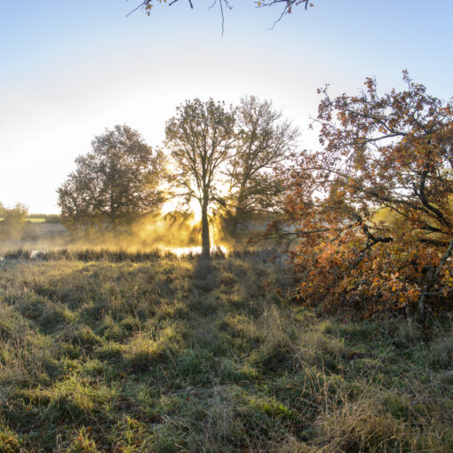 ALAIN BUCHET NIKON D800E 2023-11-25 08:42:41 ALAIN BUCHET 2021 f/4 1/60sec ISO-200 20mm ALAIN BUCHET NIKON D800E 2023-11-25 08:42:41 ALAIN BUCHET 2021 f/4 1/60sec ISO-200 20mm