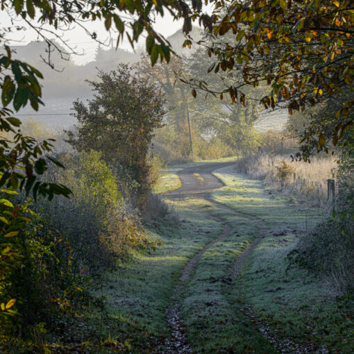 ALAIN BUCHET NIKON D800E 2023-11-25 09:10:41 ALAIN BUCHET 2021 f/10 1/320sec ISO-200 150mm ALAIN BUCHET NIKON D800E 2023-11-25 09:10:41 ALAIN BUCHET 2021 f/10 1/320sec ISO-200 150mm