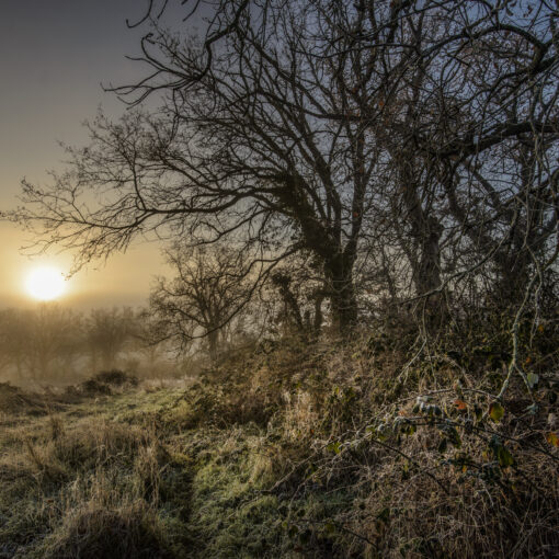 ALAIN BUCHET NIKON D800E 2023-12-18 09:08:58 ALAIN BUCHET 2021 f/11 1/100sec ISO-100 20mm ALAIN BUCHET NIKON D800E 2023-12-18 09:08:58 ALAIN BUCHET 2021 f/11 1/100sec ISO-100 20mm