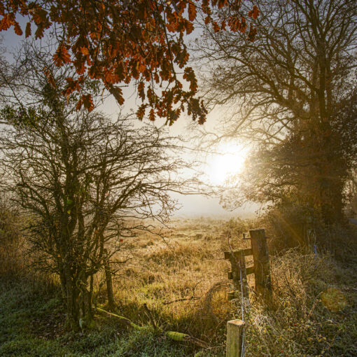 ALAIN BUCHET NIKON D800E 2023-12-18 09:15:14 ALAIN BUCHET 2021 f/11 1/100sec ISO-100 20mm ALAIN BUCHET NIKON D800E 2023-12-18 09:15:14 ALAIN BUCHET 2021 f/11 1/100sec ISO-100 20mm