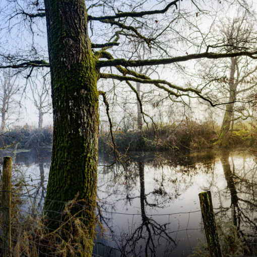 ALAIN BUCHET NIKON D800E 2023-12-18 09:55:51 ALAIN BUCHET 2021 f/2.8 1/125sec ISO-100 20mm ALAIN BUCHET NIKON D800E 2023-12-18 09:55:51 ALAIN BUCHET 2021 f/2.8 1/125sec ISO-100 20mm