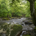 CBEG NIKON D750 2024-07-06 11:13:09 CBEG f/22 2.5sec ISO-100 24mm CBEG NIKON D750 2024-07-06 11:13:09 CBEG f/22 2.5sec ISO-100 24mm