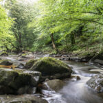 CBEG NIKON D750 2024-07-06 11:27:29 CBEG f/22 13sec ISO-100 28mm CBEG NIKON D750 2024-07-06 11:27:29 CBEG f/22 13sec ISO-100 28mm