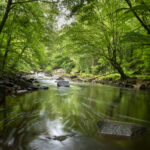 CBEG NIKON D750 2024-07-06 11:53:06 CBEG f/22 2.5sec ISO-100 28mm CBEG NIKON D750 2024-07-06 11:53:06 CBEG f/22 2.5sec ISO-100 28mm