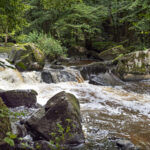 CBEG NIKON D750 2024-07-06 12:14:50 CBEG f/4 1/200sec ISO-100 28mm CBEG NIKON D750 2024-07-06 12:14:50 CBEG f/4 1/200sec ISO-100 28mm