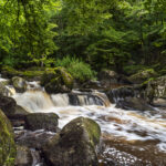 CBEG NIKON D750 2024-07-06 12:39:32 CBEG f/22 1/5sec ISO-100 24mm CBEG NIKON D750 2024-07-06 12:39:32 CBEG f/22 1/5sec ISO-100 24mm