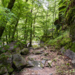 CBEG NIKON D750 2024-07-06 12:51:10 CBEG f/22 3sec ISO-100 24mm CBEG NIKON D750 2024-07-06 12:51:10 CBEG f/22 3sec ISO-100 24mm