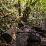 CBEG NIKON D750 2024-07-06 13:11:47 CBEG f/22 4sec ISO-100 24mm CBEG NIKON D750 2024-07-06 13:11:47 CBEG f/22 4sec ISO-100 24mm