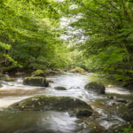 CBEG NIKON D750 2024-07-06 15:54:45 CBEG f/22 1/2sec ISO-100 24mm CBEG NIKON D750 2024-07-06 15:54:45 CBEG f/22 1/2sec ISO-100 24mm