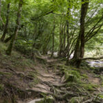 CBEG NIKON D750 2024-07-06 16:08:43 CBEG f/22 2sec ISO-100 24mm CBEG NIKON D750 2024-07-06 16:08:43 CBEG f/22 2sec ISO-100 24mm