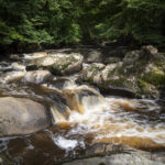 CBEG NIKON D750 2024-07-06 16:32:56 CBEG f/22 1/15sec ISO-100 24mm CBEG NIKON D750 2024-07-06 16:32:56 CBEG f/22 1/15sec ISO-100 24mm