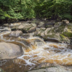 CBEG NIKON D750 2024-07-06 16:34:27 CBEG f/7.1 1/250sec ISO-100 24mm CBEG NIKON D750 2024-07-06 16:34:27 CBEG f/7.1 1/250sec ISO-100 24mm