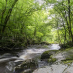 CBEG NIKON D750 2024-07-06 17:02:39 CBEG f/22 2sec ISO-100 24mm CBEG NIKON D750 2024-07-06 17:02:39 CBEG f/22 2sec ISO-100 24mm