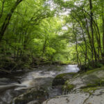 CBEG NIKON D750 2024-07-06 17:03:43 CBEG f/22 1sec ISO-100 24mm CBEG NIKON D750 2024-07-06 17:03:43 CBEG f/22 1sec ISO-100 24mm