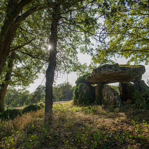 ALAIN BUCHET NIKON D800E 2023-07-31 18:07:12 ALAIN BUCHET 2021 f/2.8 1/125sec ISO-50 20mm ALAIN BUCHET NIKON D800E 2023-07-31 18:07:12 ALAIN BUCHET 2021 f/2.8 1/125sec ISO-50 20mm