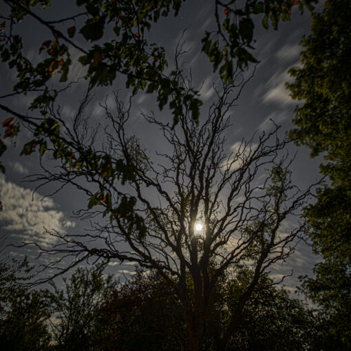 ALAIN BUCHET NIKON D800E 2023-08-31 00:16:12 ALAIN BUCHET 2021 f/4 15sec ISO-100 20mm ALAIN BUCHET NIKON D800E 2023-08-31 00:16:12 ALAIN BUCHET 2021 f/4 15sec ISO-100 20mm