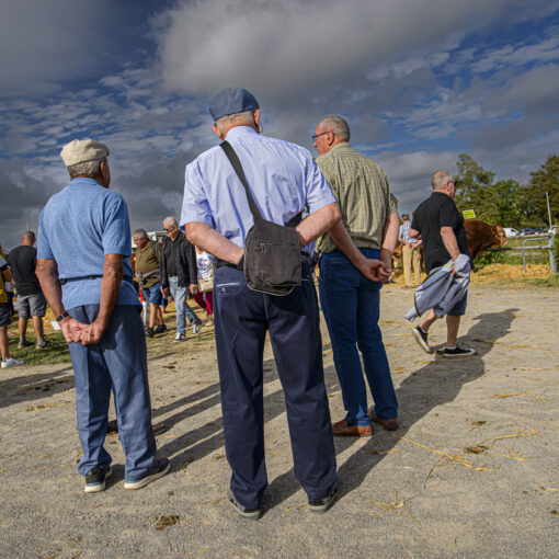 ALAIN BUCHET NIKON D800E 2023-09-29 10:01:18 ALAIN BUCHET 2021 f/5.6 1/160sec ISO-100 20mm ALAIN BUCHET NIKON D800E 2023-09-29 10:01:18 ALAIN BUCHET 2021 f/5.6 1/160sec ISO-100 20mm