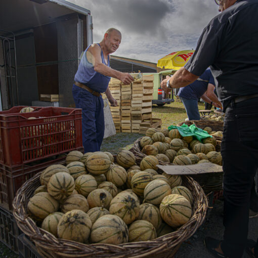 ALAIN BUCHET NIKON D800E 2023-09-29 10:14:39 ALAIN BUCHET 2021 f/5.6 1/160sec ISO-100 20mm ALAIN BUCHET NIKON D800E 2023-09-29 10:14:39 ALAIN BUCHET 2021 f/5.6 1/160sec ISO-100 20mm