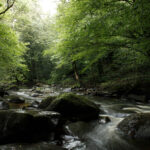 JEAN LUC SCHAUER Canon EOS 5D Mark IV 2024-07-06 11:26:26 f/22 1.6sec ISO-100 24mm JEAN LUC SCHAUER Canon EOS 5D Mark IV 2024-07-06 11:26:26 f/22 1.6sec ISO-100 24mm