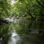 JEAN LUC SCHAUER Canon EOS 5D Mark IV 2024-07-06 11:55:18 f/22 2.5sec ISO-100 29mm JEAN LUC SCHAUER Canon EOS 5D Mark IV 2024-07-06 11:55:18 f/22 2.5sec ISO-100 29mm