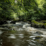 JEAN LUC SCHAUER Canon EOS 5D Mark IV 2024-07-06 13:06:05 f/22 1/2sec ISO-100 24mm JEAN LUC SCHAUER Canon EOS 5D Mark IV 2024-07-06 13:06:05 f/22 1/2sec ISO-100 24mm