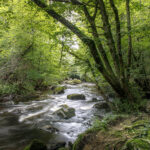 JEAN LUC SCHAUER Canon EOS 5D Mark IV 2024-07-06 15:59:53 f/22 1sec ISO-100 24mm JEAN LUC SCHAUER Canon EOS 5D Mark IV 2024-07-06 15:59:53 f/22 1sec ISO-100 24mm