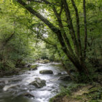 JEAN LUC SCHAUER Canon EOS 5D Mark IV 2024-07-06 16:02:08 f/22 1.6sec ISO-100 27mm JEAN LUC SCHAUER Canon EOS 5D Mark IV 2024-07-06 16:02:08 f/22 1.6sec ISO-100 27mm