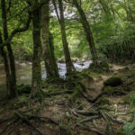 JEAN LUC SCHAUER Canon EOS 5D Mark IV 2024-07-06 16:16:47 f/22 2sec ISO-100 24mm JEAN LUC SCHAUER Canon EOS 5D Mark IV 2024-07-06 16:16:47 f/22 2sec ISO-100 24mm