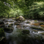 JEAN LUC SCHAUER Canon EOS 5D Mark IV 2024-07-06 16:33:44 f/20 1/2sec ISO-100 24mm JEAN LUC SCHAUER Canon EOS 5D Mark IV 2024-07-06 16:33:44 f/20 1/2sec ISO-100 24mm